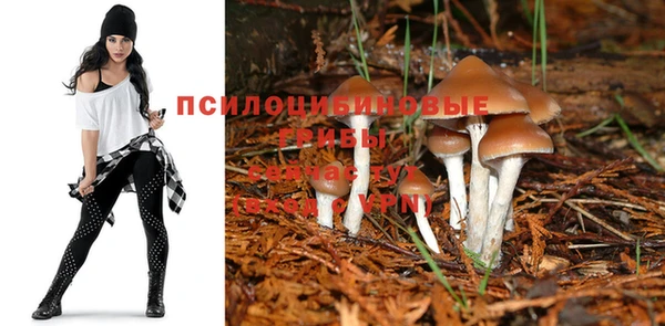 ALPHA-PVP Верхний Тагил