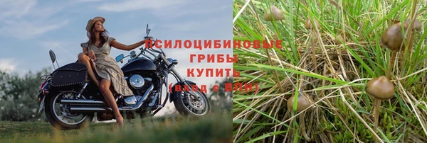 экстази Володарск