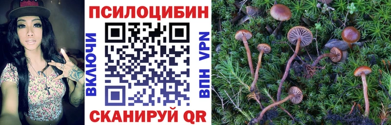 Галлюциногенные грибы Psilocybe  хочу наркоту  Иннополис 